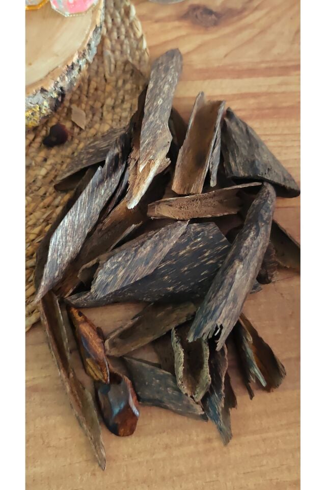 Hindistan Oud ağacı Agarwood