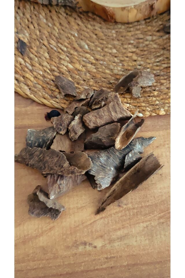 Hindistan Oud Ağacı Agarwood