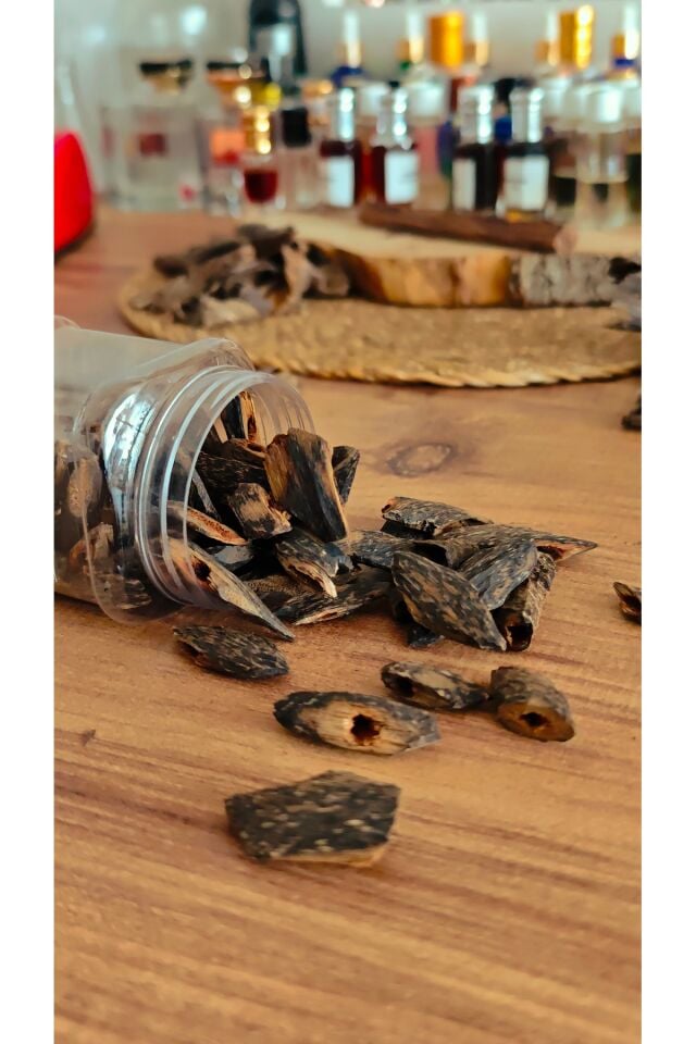 İnoculated Agarwood AşılanmışEndenozya Oud Ağacı (Tütsü-Buhur İçin )